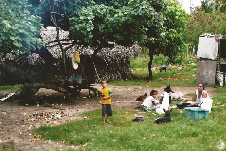 Miracle of the Holy Cross in Fiji