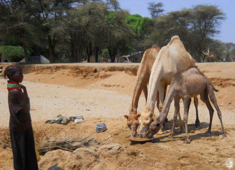 The water problem in Kenya