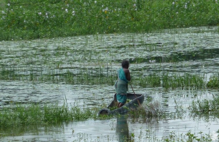 Kolkata: flood of monsoons, flood of poverty