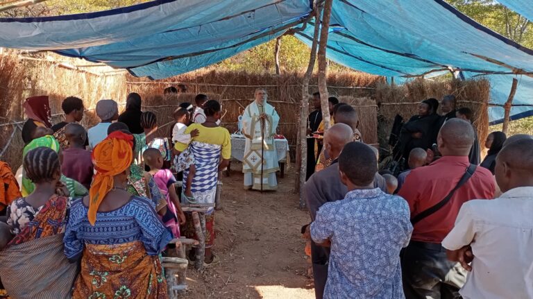 The blessing of Orthodox witness in the heart of Africa